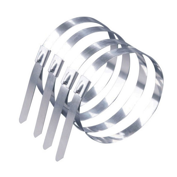 ZN-G-5692不銹鋼扎帶