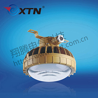 ZNHT-TB高溫自限溫電伴熱帶