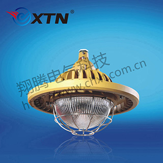 ZNQT串聯(lián)恒功率電伴熱帶